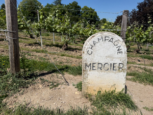 Recherche de fuite d'eau Meyzieu